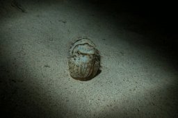 20010620_Mangrove_Bay_Nacht_0016